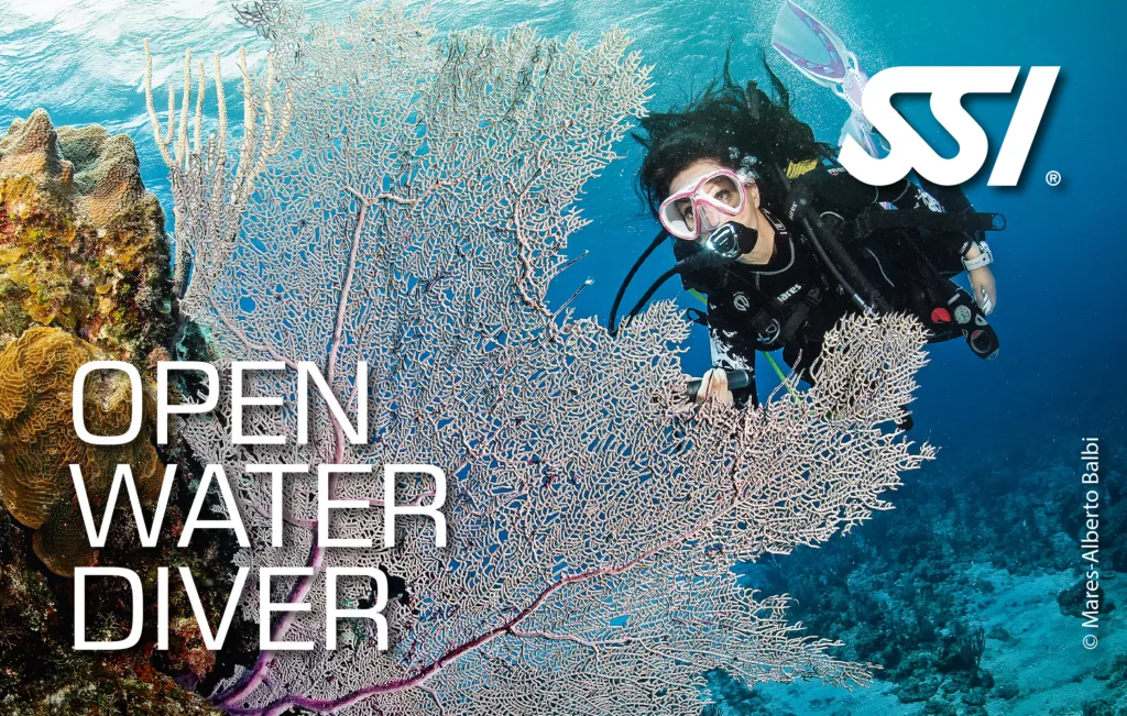 Cours d'Open Water Diver Amed
