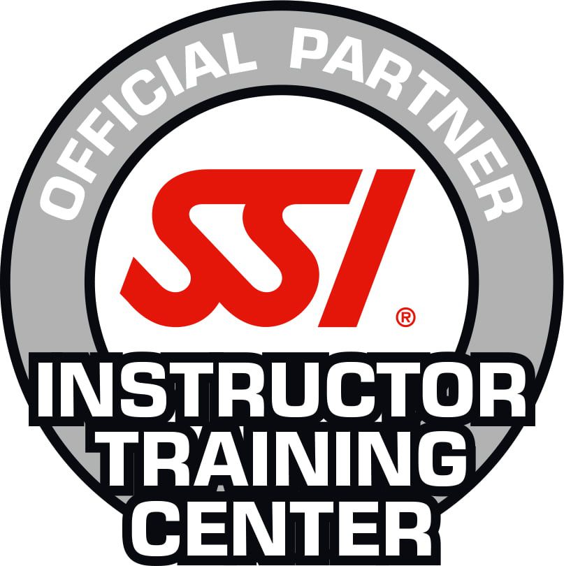 SSI_Logo_Inst_Tr_Center