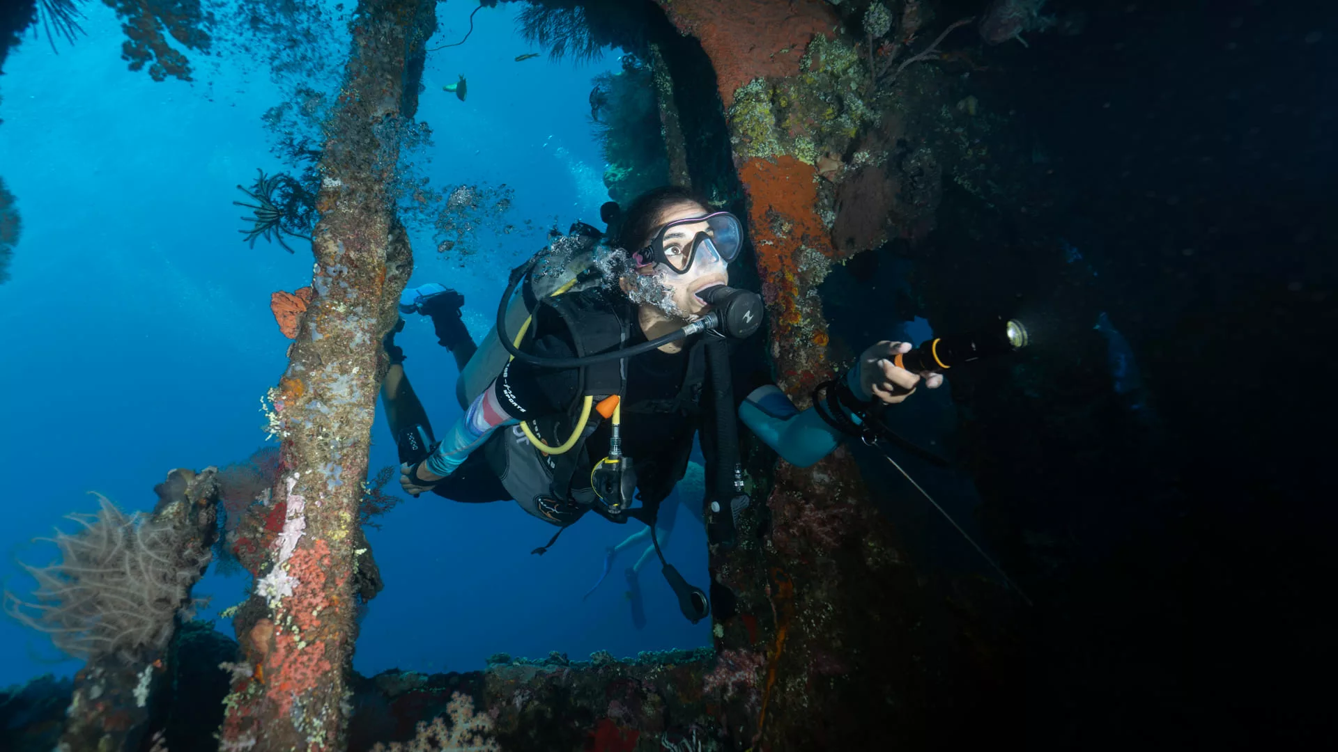 Diving Amed Bali